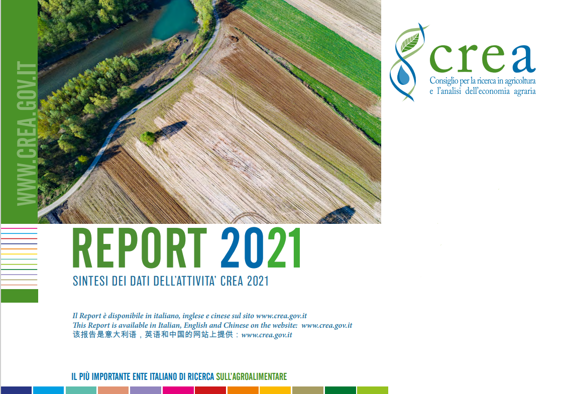 copertina crea report 2021