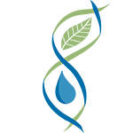 /documents/20126/0/logo_crea.png/05fb25fa-2907-88cb-9d9b-1a860d40f9dc?t=1543408579684