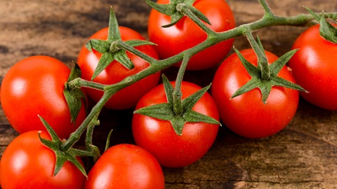 Ricerca applicata per migliorare la qualit&agrave; del pomodoro da industria: al via il secondo anno di sperimentazione
