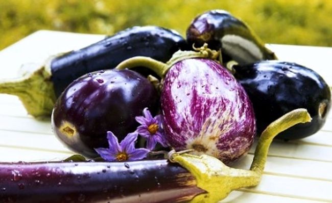 Melanzana: pubblicato lo studio su HORTICULTURE RESEARCH del gruppo Nature