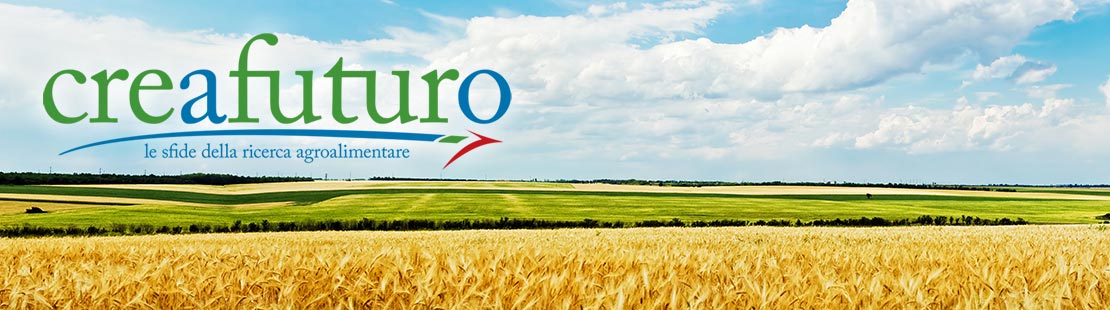 CREAFuturo