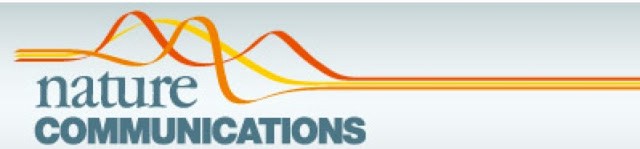 Transizioni di simmetria: chiarite le basi molecolari nelle piante