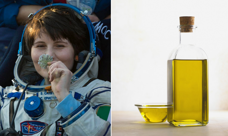 CREA is project partner to send Extra Virgin Olive Oils to space in 2022