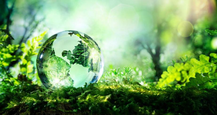 AGRICOLTURA: PARTE SENSE, PROGETTO PER RIDURRE EMISSIONI