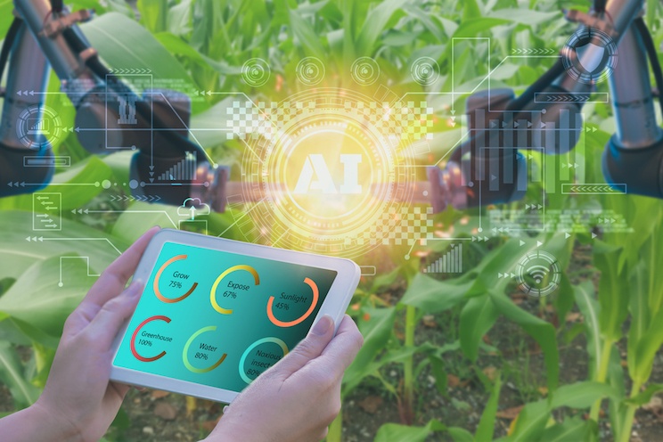 Con l'Intelligenza Artificiale l'agrifood diventa smart