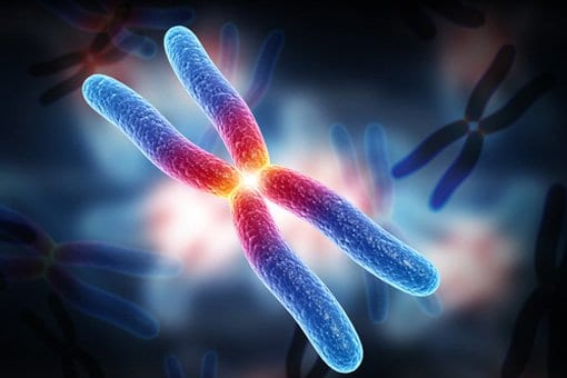 Agricoltura sostenibile: il CREA presenta i risultati del progetto BIOTECH