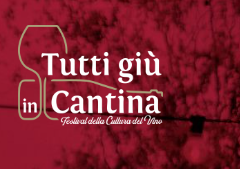 Vino: Al via al CREA di Velletri "Tutti gi&ugrave; in Cantina", il Festival della Cultura del Vino