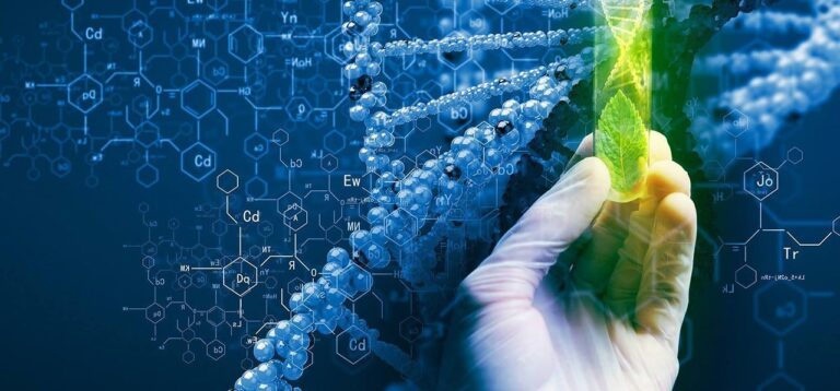 Cisgenesi e Genome Editing per il miglioramento genetico in viticoltura: da CREA e Copagri i primi risultati del progetto Biotech