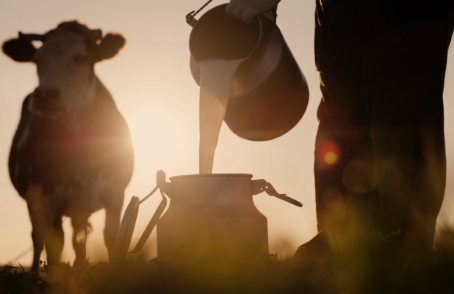 Latte: quanto costa la guerra in Ucraina alle aziende italiane?