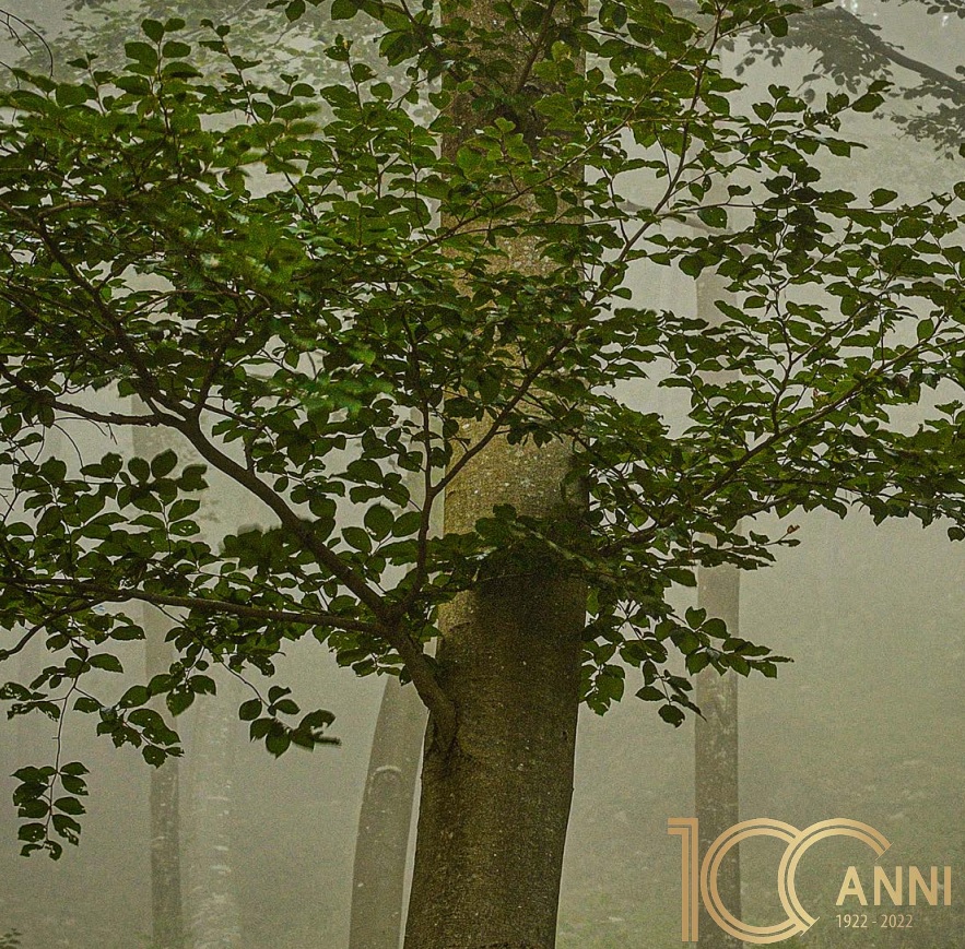 Foreste: 100 anni fa nasceva la sede del CREA, punto di riferimento nazionale per la ricerca in Selvicoltura