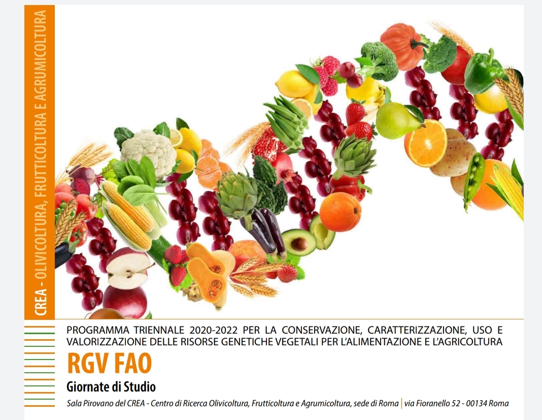 Agrobiodiversit&agrave;: presentati i risultati del Programma RGV FAO 2020-2022, coordinato dal CREA