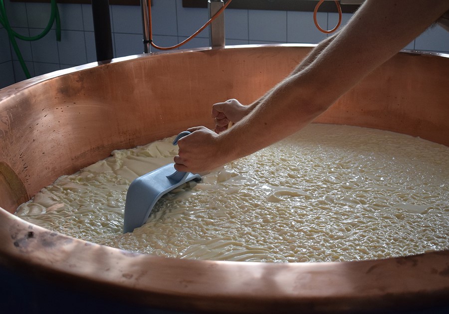 Al via la &ldquo;Scuola del Casaro&rdquo; del CREA, in Basilicata: continua cos&igrave; la lunga tradizione CREA sui formaggi a latte crudo