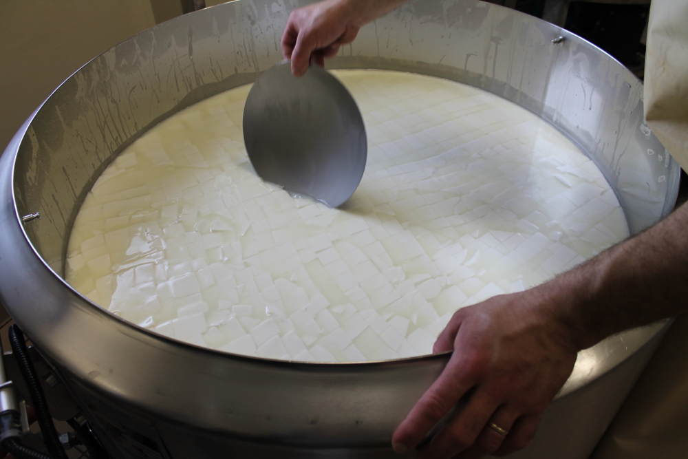 Inaugurata la “Scuola del Casaro” del CREA, in Basilicata