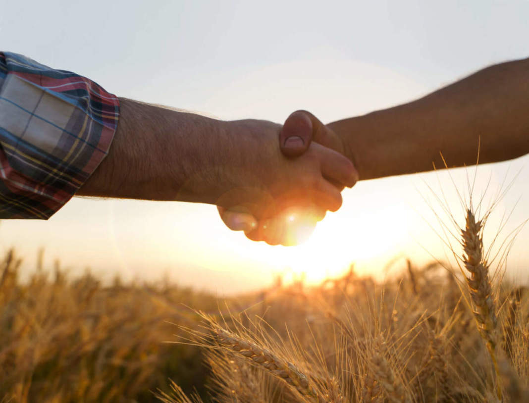 Il CREA su “Terra e Vita”: i contratti di filiera volano di aggregazione per le aziende agroalimentari