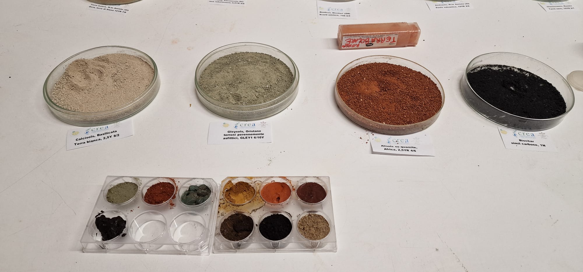 Giornata mondiale del suolo: il CREA inaugura la prima pedoteca in Italia