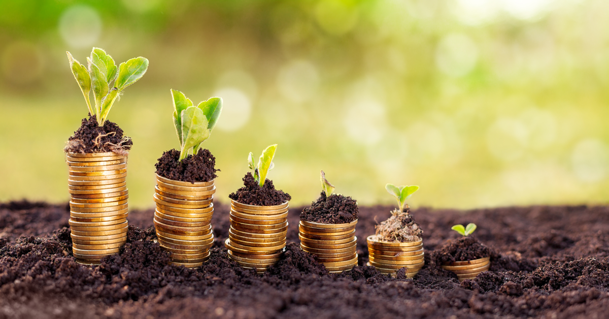 Le opportunit&agrave; e le difficolt&agrave; di attuazione degli strumenti finanziari Ue a sostegno del settore primario: un approfondimento sul fondo rotativo del Friuli Venezia Giulia