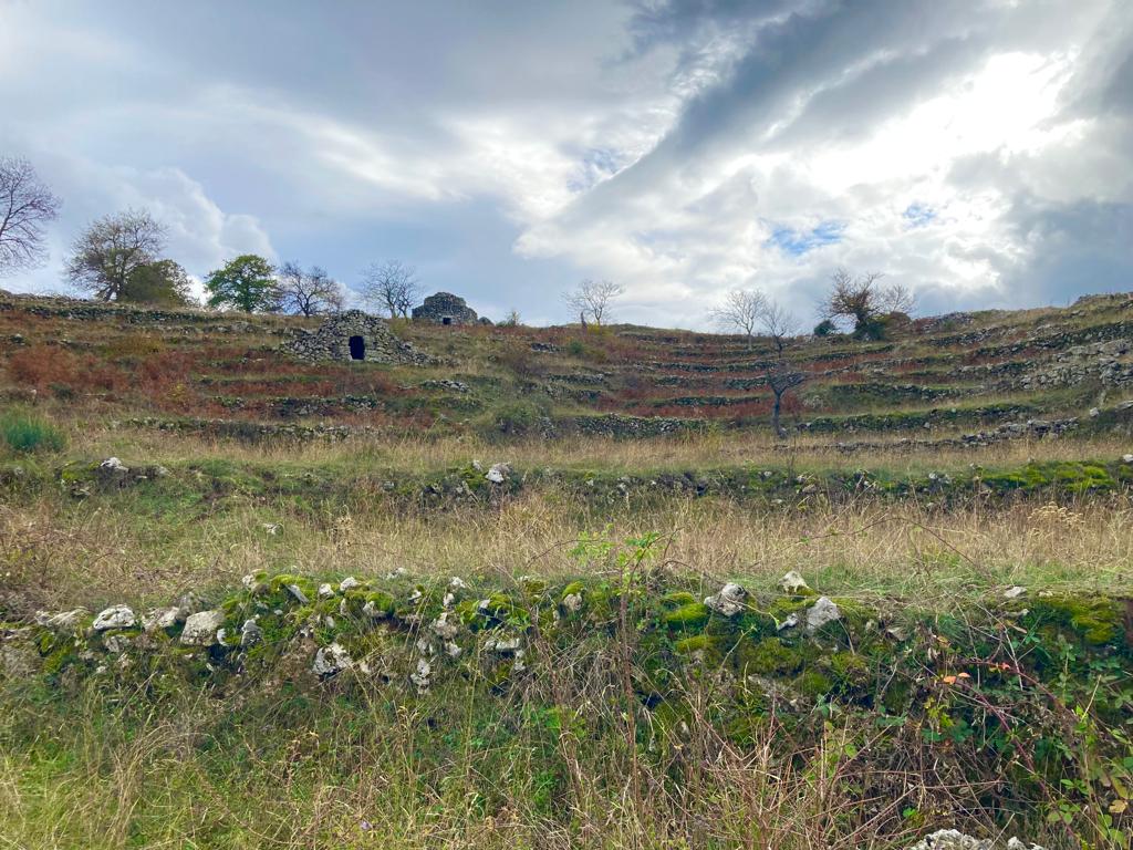 Il contributo del CREA per la tutela della biodiversit&agrave; del Parco della Majella