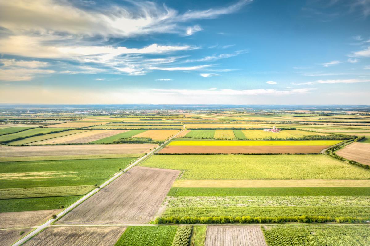 Presentata la 75&deg; edizione dell&rsquo;Annuario CREA dell&rsquo;agricoltura italiana