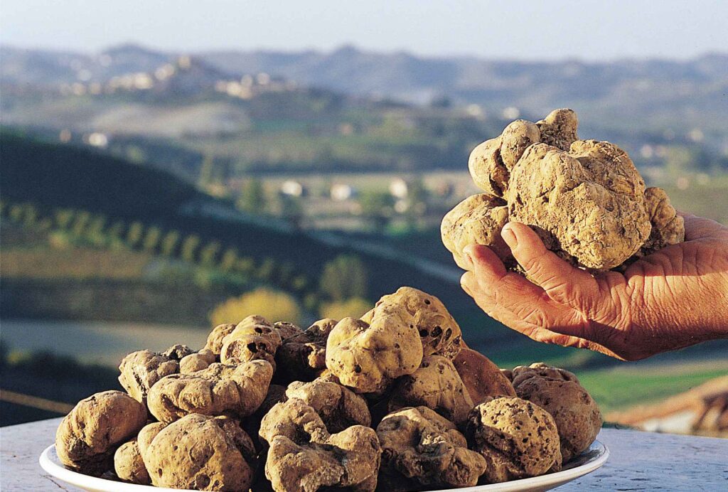 Secondo appuntamento con i Mercoledì del Gusto del CREA: riso e tartufo eccellenze italiane da riscoprire