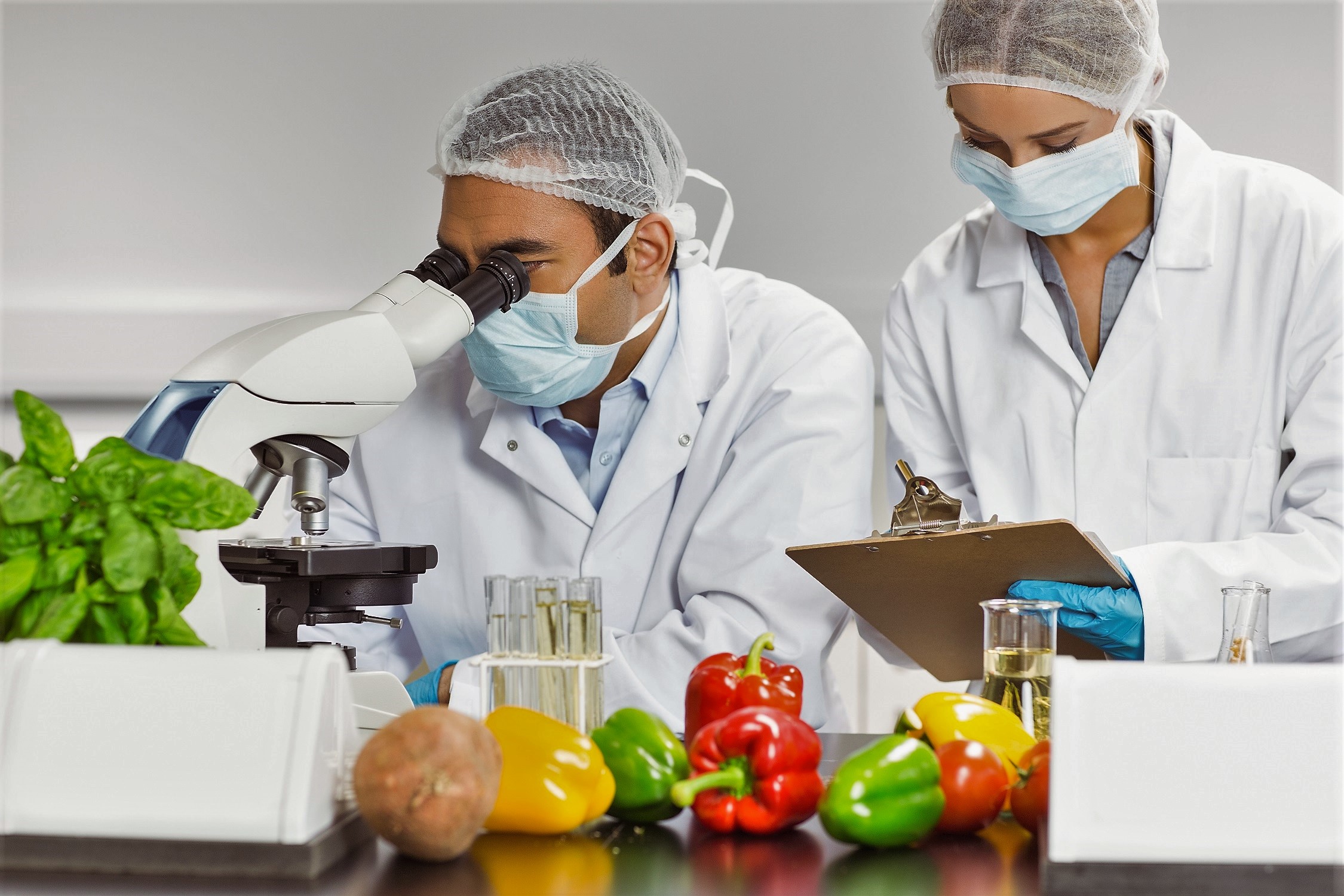 Prodotti pi&ugrave; sostenibili e nutrienti grazie al miglioramento genetico