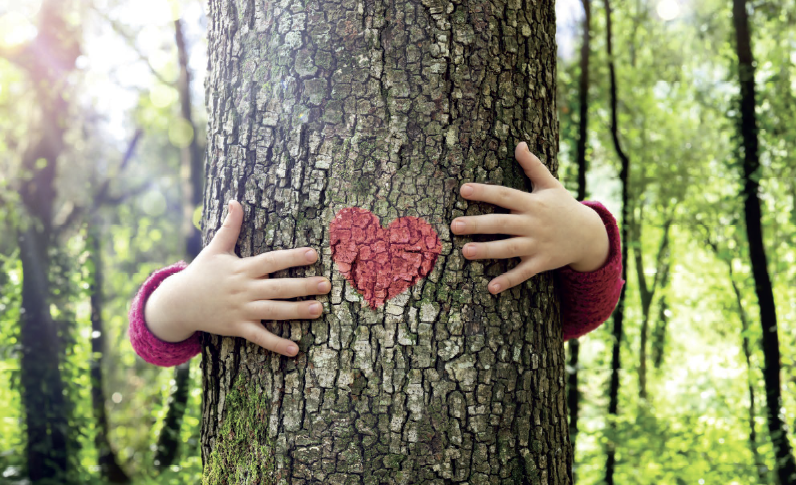 Il verde urbano non è un costo ma un investimento per la salute