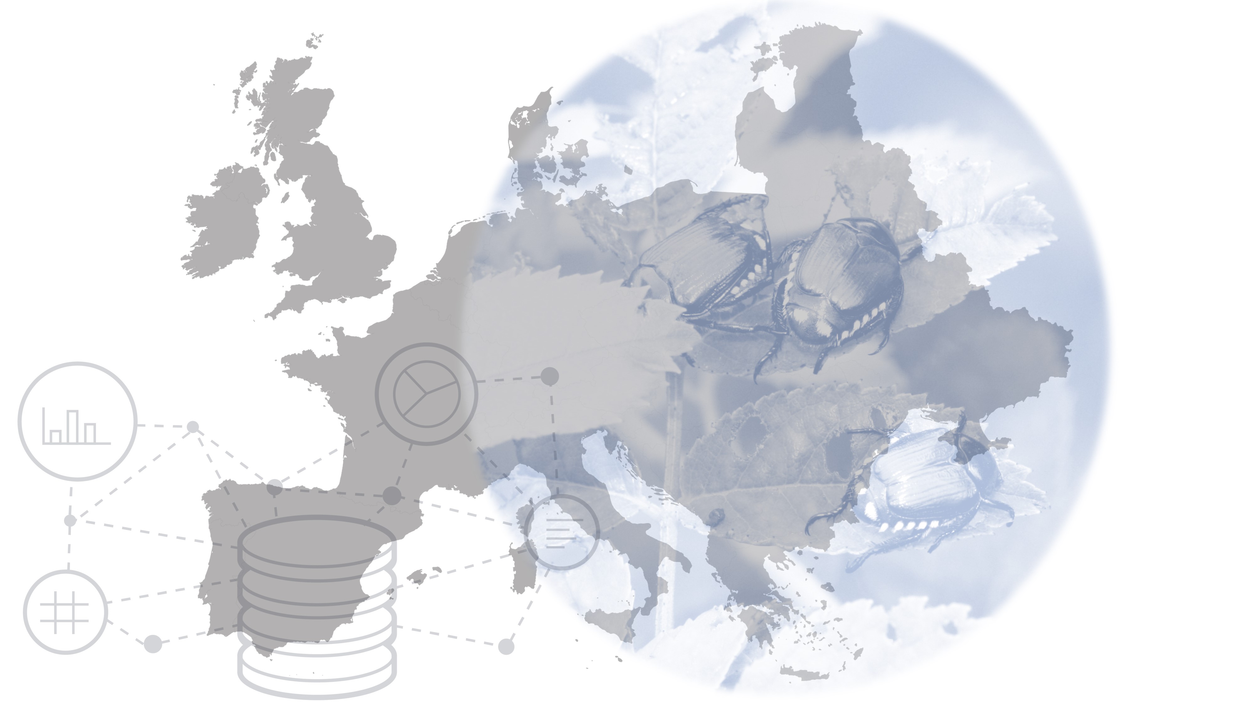 Organismi nocivi per le piante: all'EFSA di Parma il kick off del progetto CREA