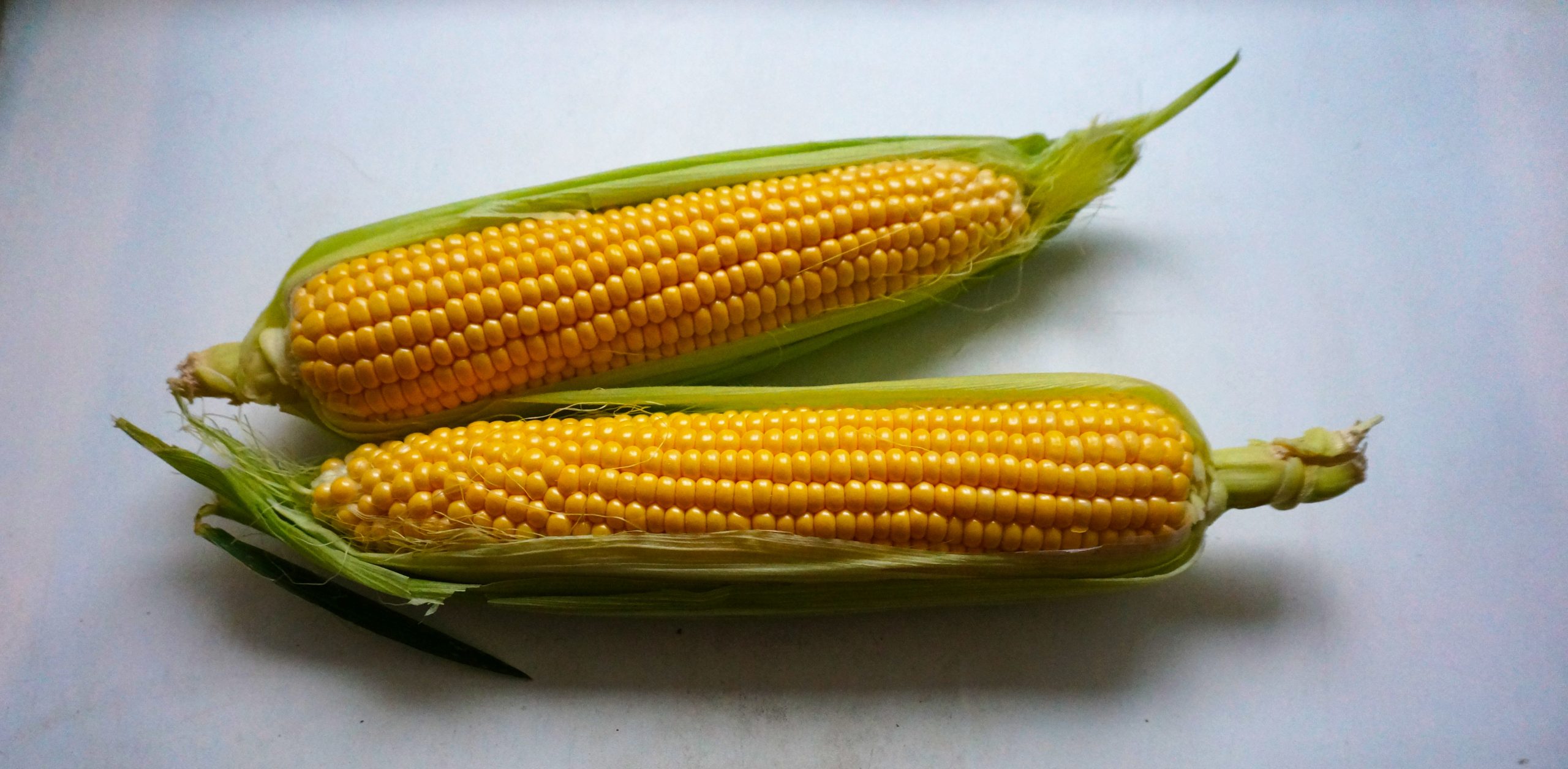 GIORNATA DEL MAIS CREA 2023: LA SFIDA DELLA NUOVA PAC