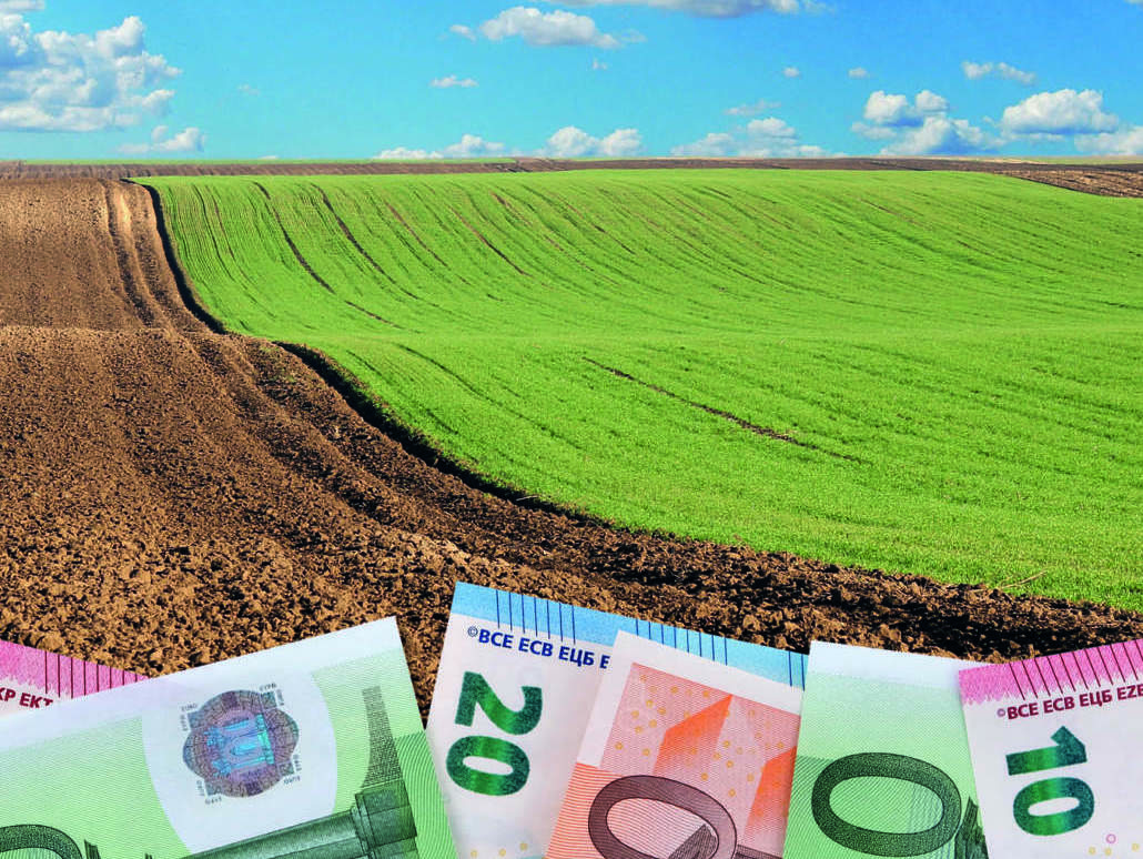 Sviluppo Rurale 2023-2027: le scelte delle Regioni ai raggi X