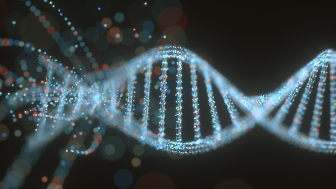 Risorse genetiche vegetali: disponibile il video su RGV FAO