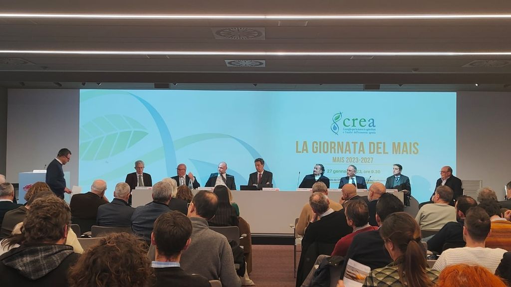 Giornata del mais 2023: i dati CREA