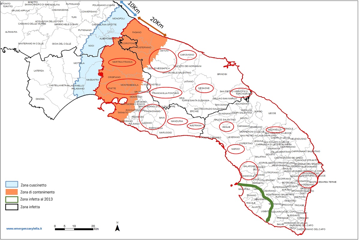 Dal satellite primi riscontri positivi sull&rsquo;efficacia del protocollo CREA anti-Xylella
