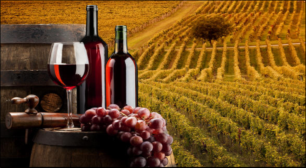 CREA e MASAF lanciano il VII Concorso Enologico Istituti Agrari d&rsquo;Italia 2023