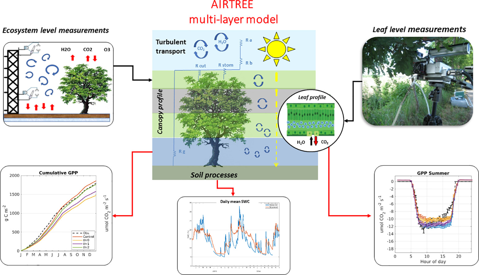 Città più verdi e aria più pulita con AIRTREE: il software per scegliere le alberature più adatte a migliorare la qualità dell’aria nelle aree urbane