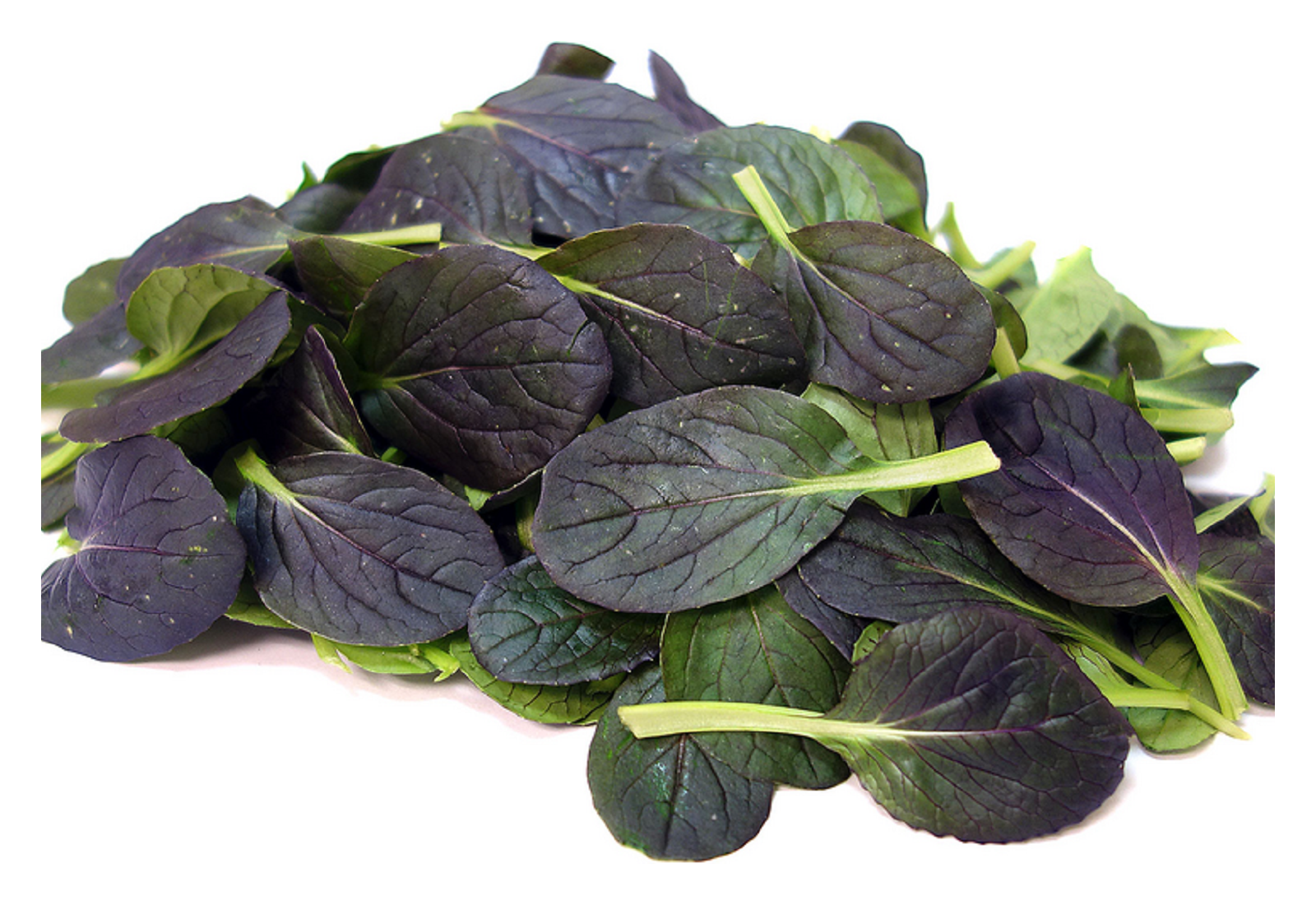 Verdure esotiche, simili a quelle nostrane ma buone anche crude