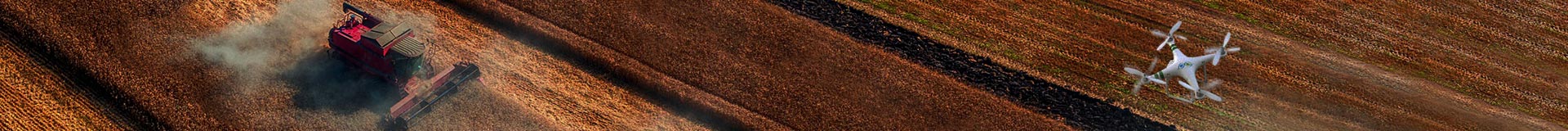 Crea - banner homepage