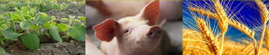 V Bando Contratti di filiera agroalimentare - PNC