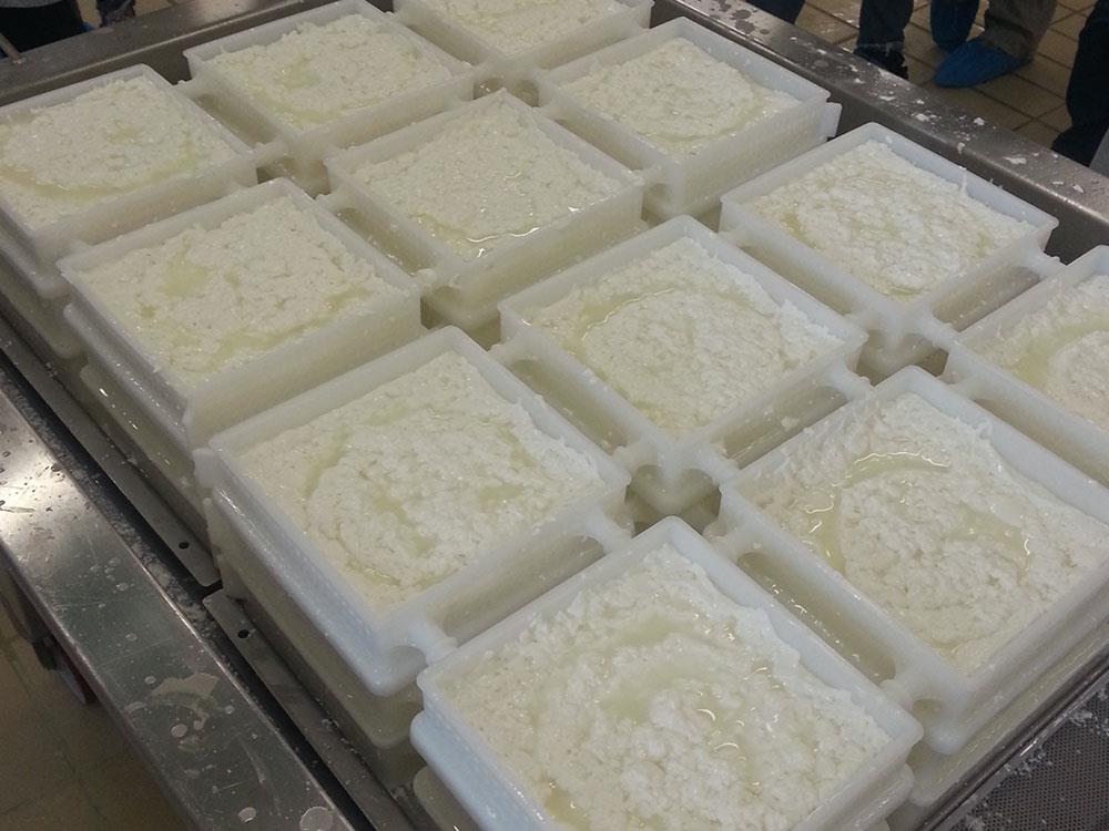 Affidata al CREA la didattica di caseificio alla Cascina Baroncina di Lodi