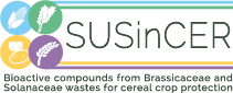 Sustainable use of bioactive compounds from Brassicaceae and Solanaceae wastes for cereal crop protection