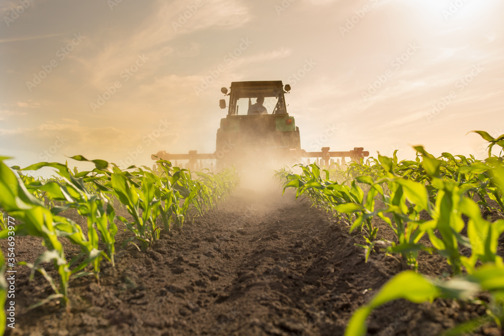 ONLINE GLI ATTI E IL VIDEO INTEGRALE DELLA GIORNATA DEL MAIS 2023