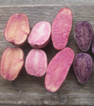 Alimenti tipici e innovativi ad elevata valenza nutrizionale e sicurezza