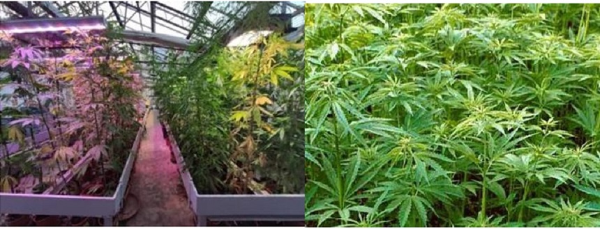 GRUPPO OPERATIVO CANAPRO VISITA IN SERRA E SEMINARIO