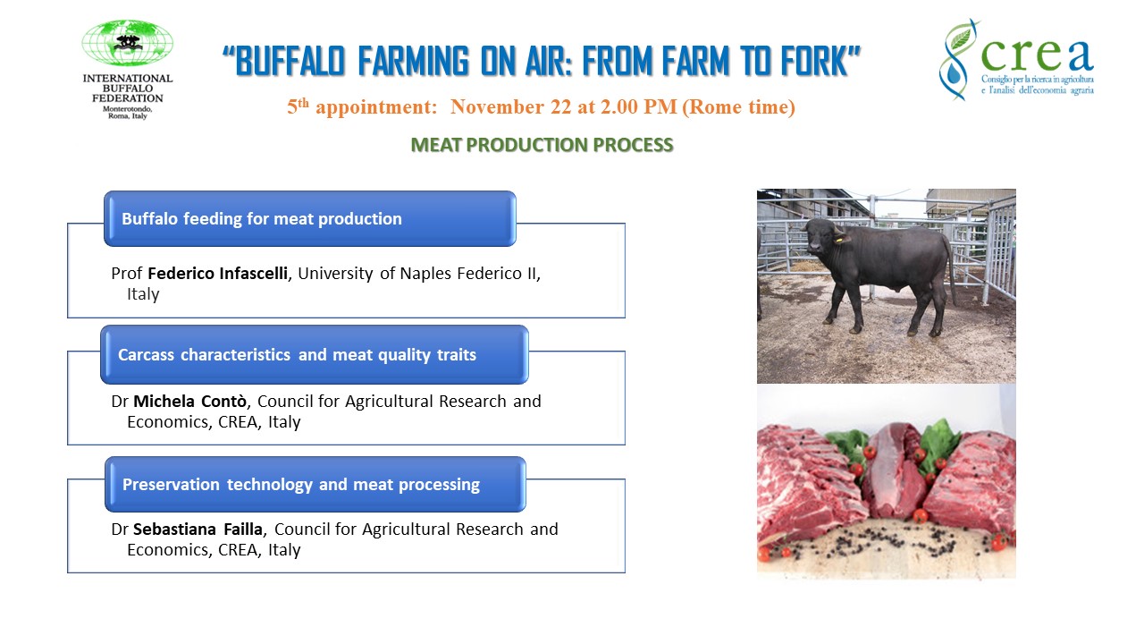 Corso IBF-CREA "BUFFALO FARMING ON AIR: FROM FARM TO FORK: MEAT PRODUCTION PROCESS"