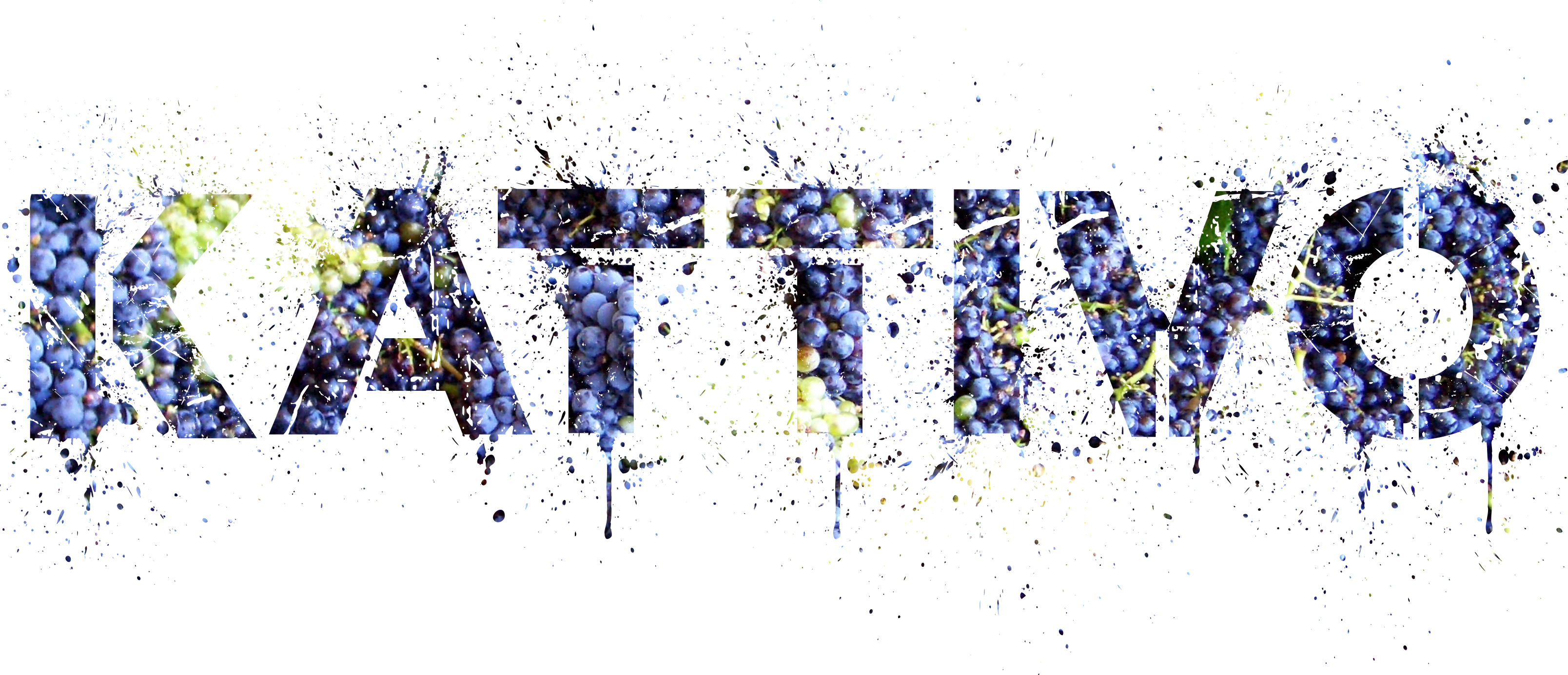 KATTIVO GO Regione Toscana, misura 16.2