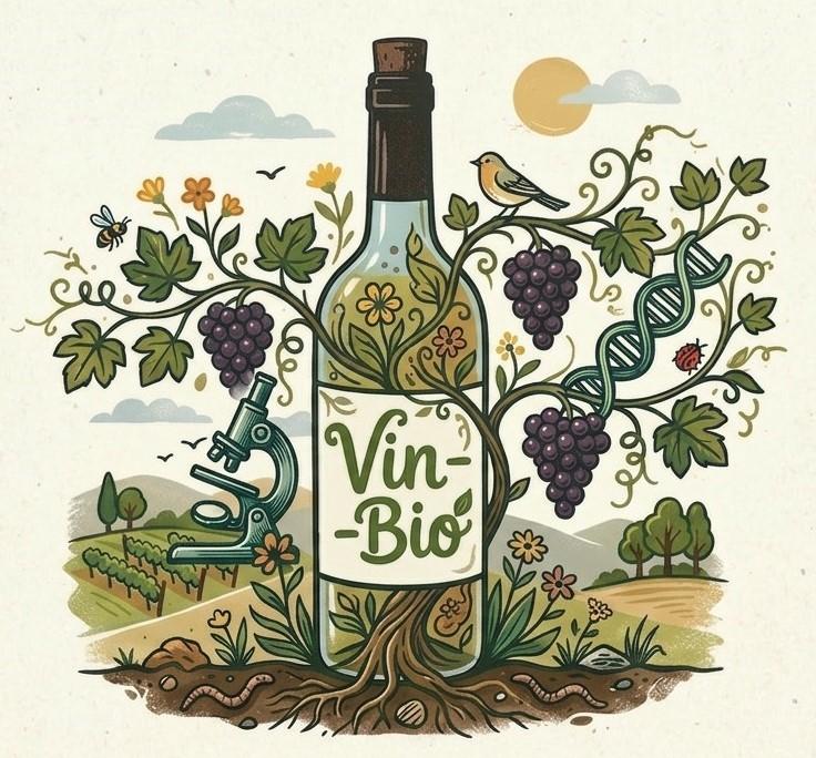 Progetto Vino Biologico di eccellenza