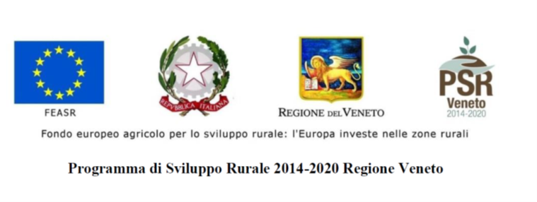 DI.VI.NE DIfesa dalla degenerazione infettiva della VIte e dai NEmatodi