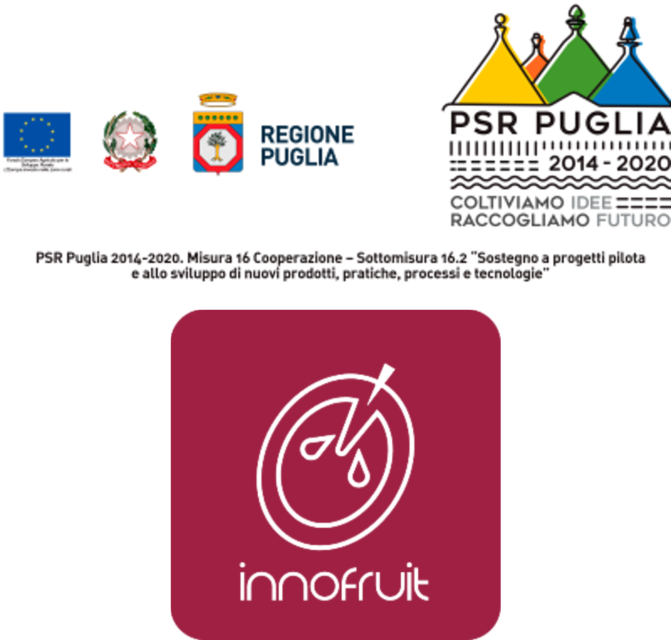 INNOFRUIT: Sostenibilità e innovazione nella viticoltura da tavola pugliese