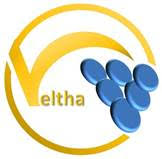 Progetto VELTHA Vite e vino, Eccellenza del Territorio, dell’Habitus e dell’Ambiente