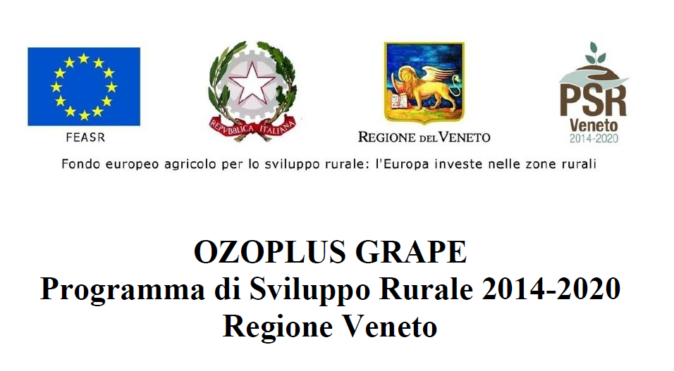 OZOPLUS GRAPE 