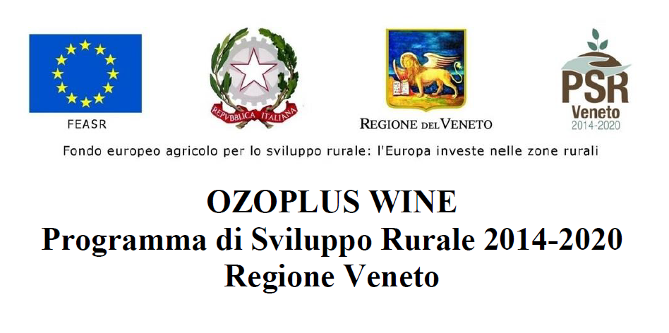 OZOPLUS WINE 