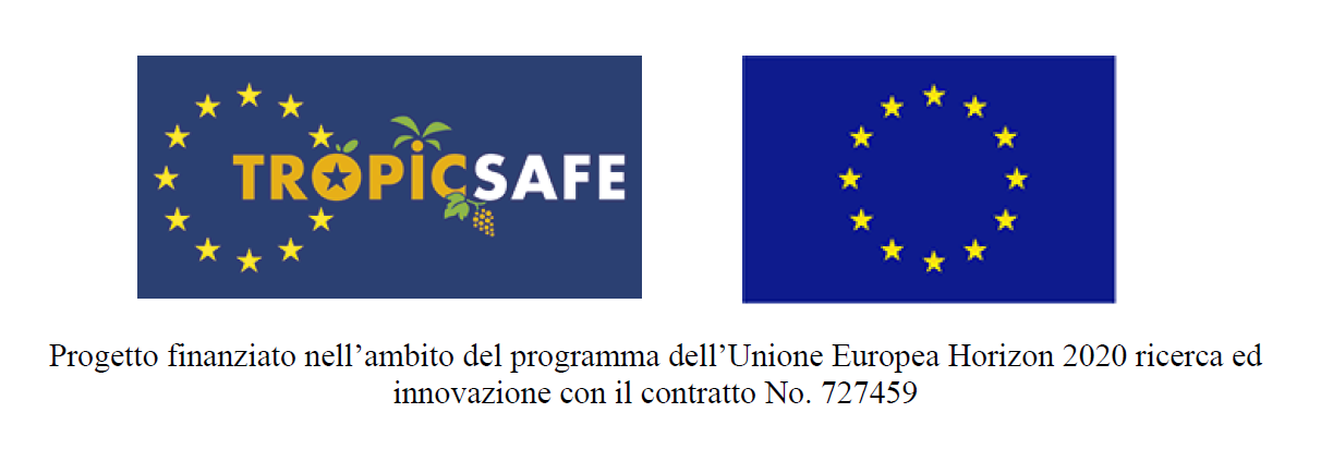 TROPICSAFE Malattie associate alla presenza di procarioti e trasmesse da insetti in colture arboree in aree tropicali e subtropicali